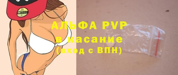 винт Абаза