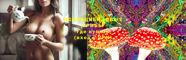 винт Абаза