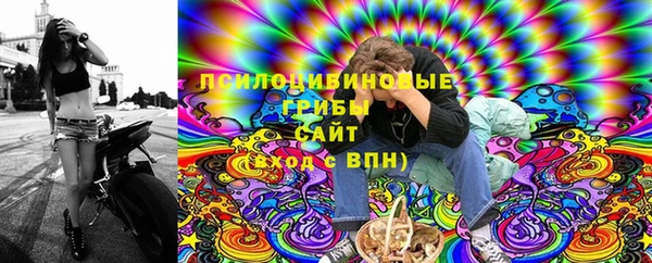 винт Абаза