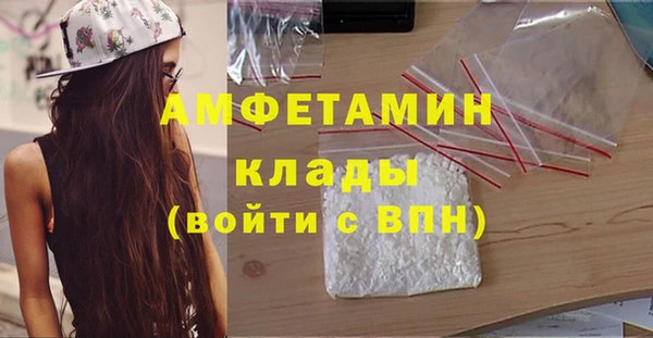 винт Абаза