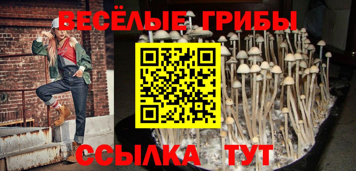Галлюциногенные грибы прущие грибы  Вход с VPN  Галлюциногенные грибы Psilocybe  Новочебоксарск 